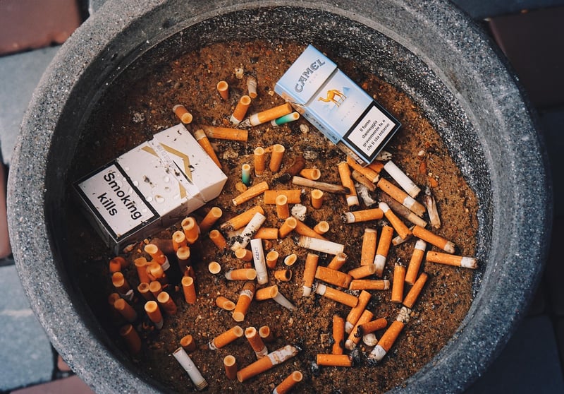 Environmentally-Friendly Habits